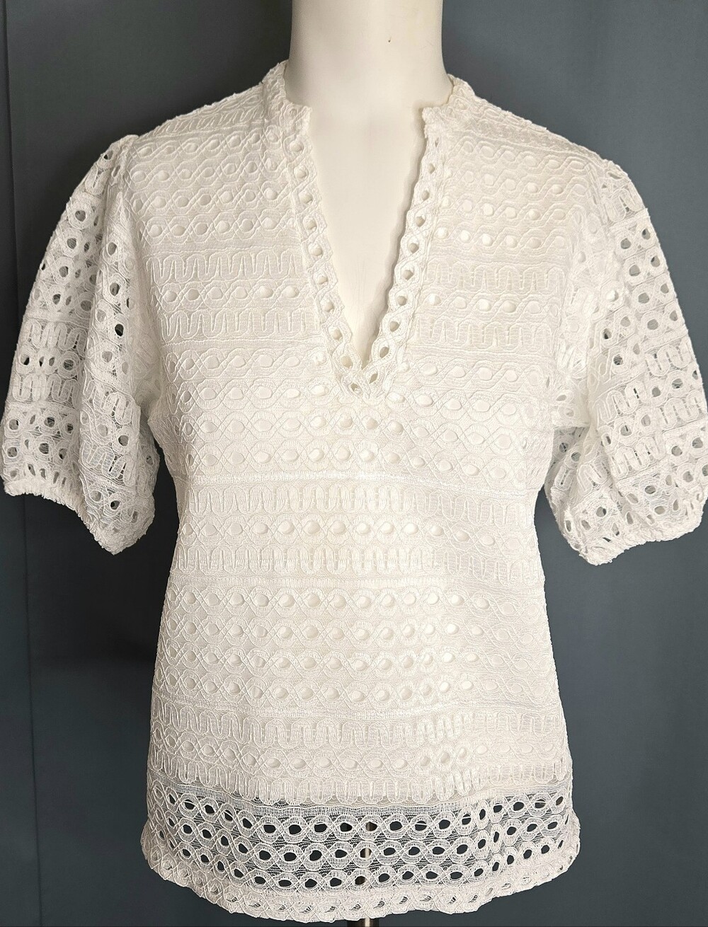 Thắm Đặng White Eyelet Lace Embroidered Puff Sleeve Lined Boho Blouse NWOT S